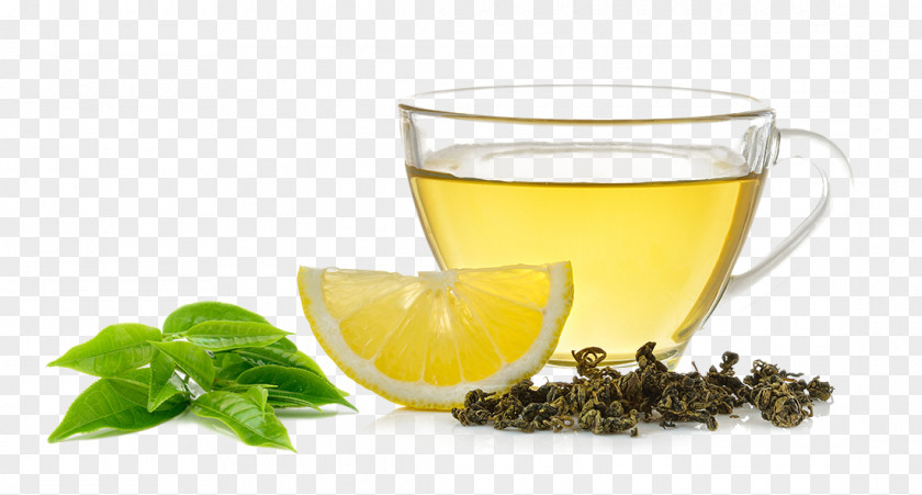 Wet And Dry Tea Leaves Lemon Slices Lemonade Aloysia Citrodora PNG