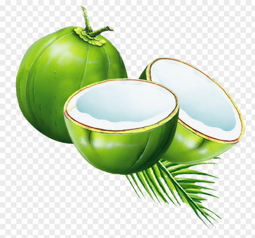 Coconut Water Juice Milk Powder PNG
