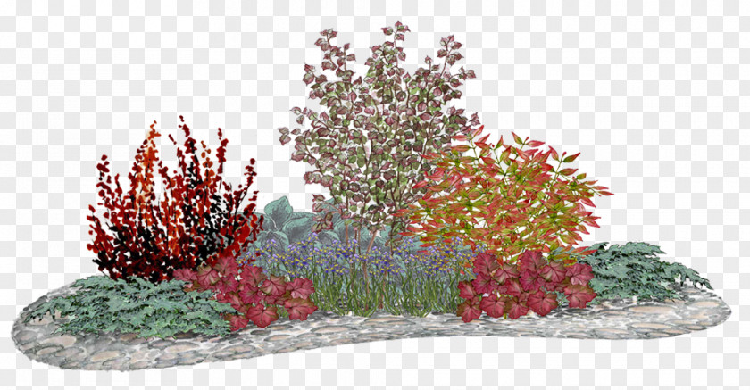 Flower Garden Red Bedding Panicled Hydrangea PNG