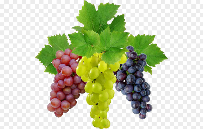 Juice Common Grape Vine Sultana Fruit PNG