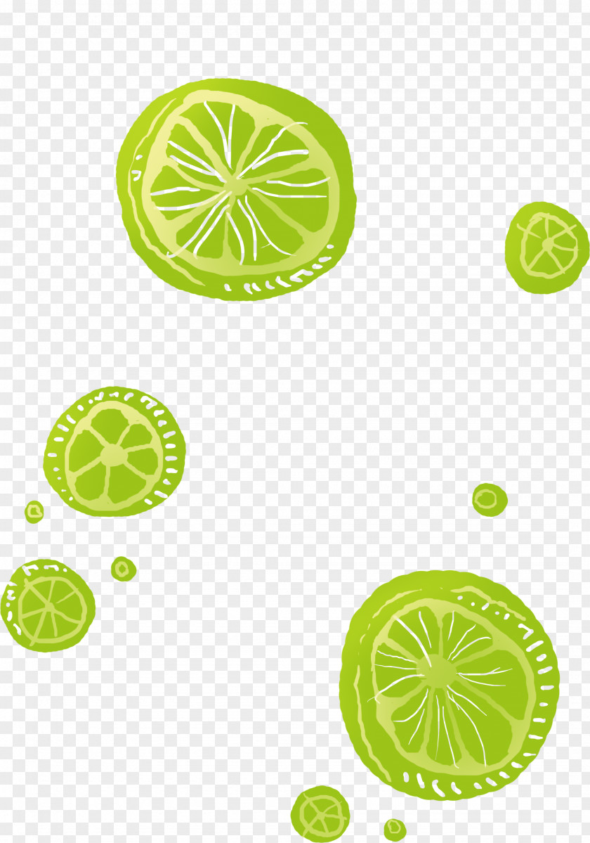 Key Lime Lemon Design PNG