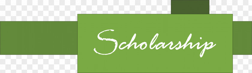 Scholarship Money Graphic Design Clip Art PNG