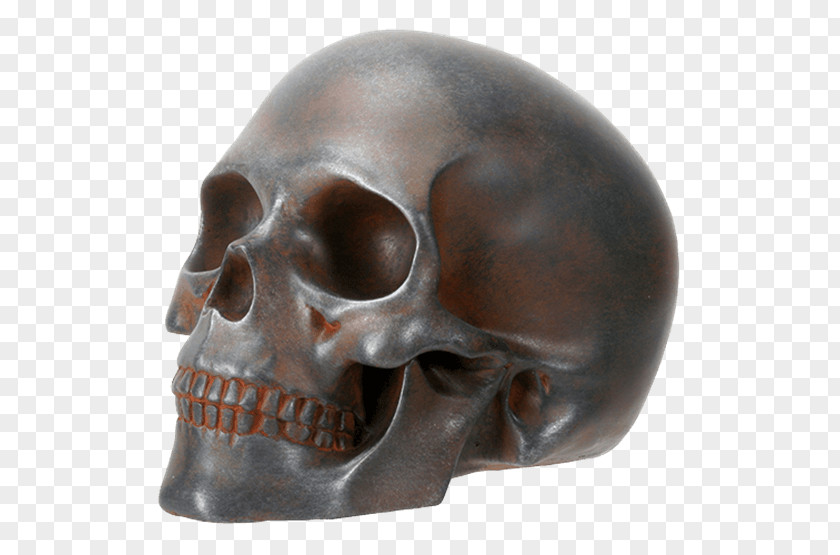 Skull Wood Carving Human Skeleton Halloween PNG
