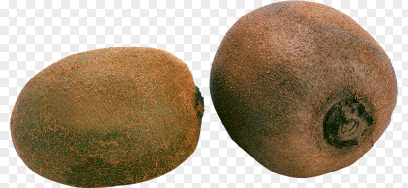 Zh Kiwifruit Actinidia Deliciosa Food PNG