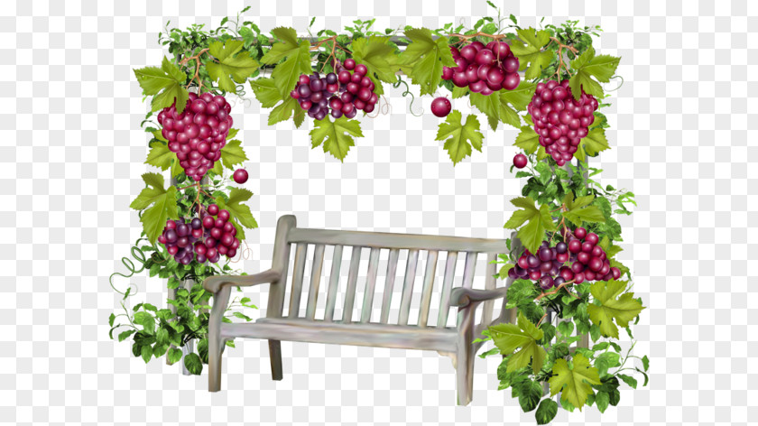 Banc Border Image Harvest Clip Art Flower PNG