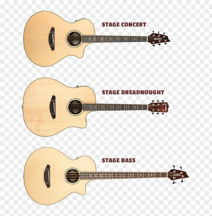 Bass Guitar Acoustic Tiple Acoustic-electric Cuatro PNG