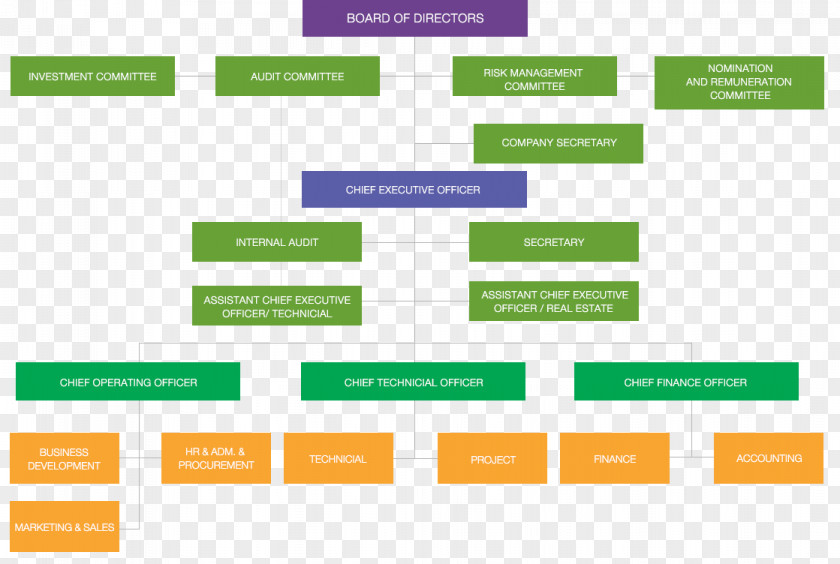 Business Organizational Chart Structure Public Company PNG