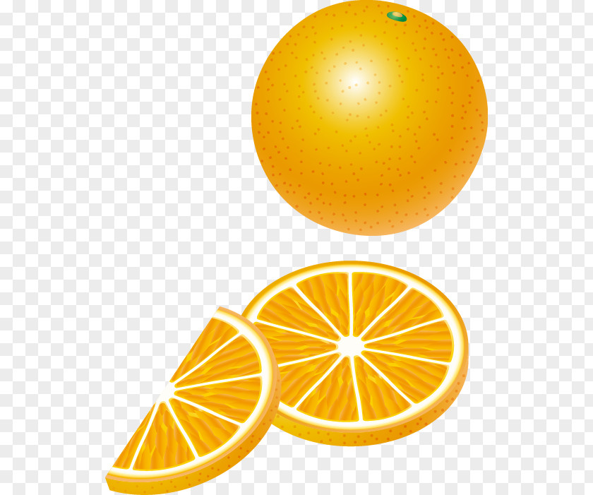 Lemon Vector Material Orange Auglis PNG