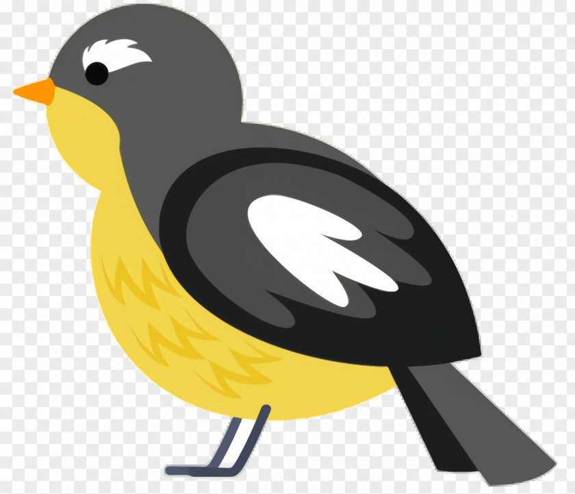 Perching Bird Finch Cartoon PNG