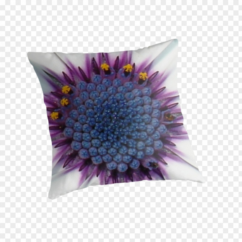 African Daisy Cushion PNG