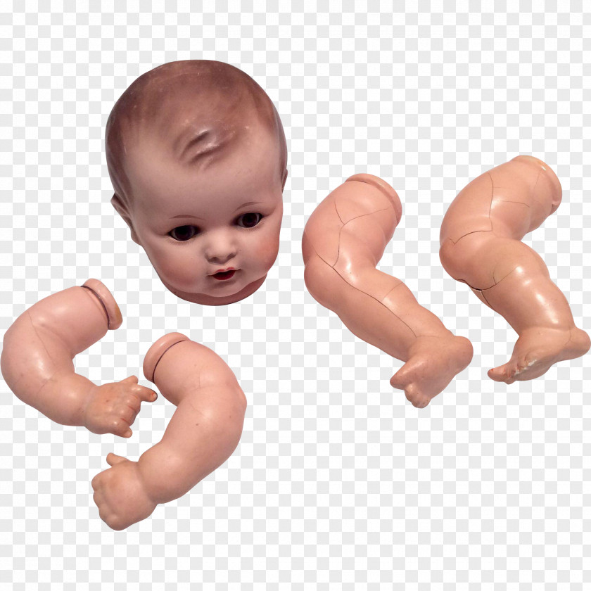 Cartoon Baby Toy Supplies Infant Thumb Bisque Doll Arm PNG