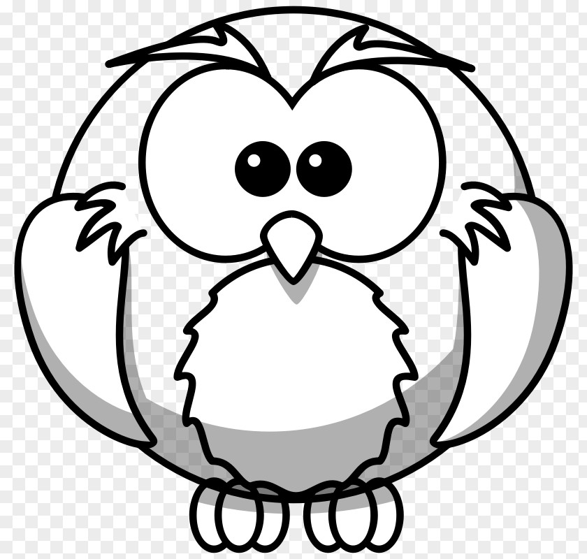 Cartoon Snowy Owl Drawing Bird Clip Art PNG
