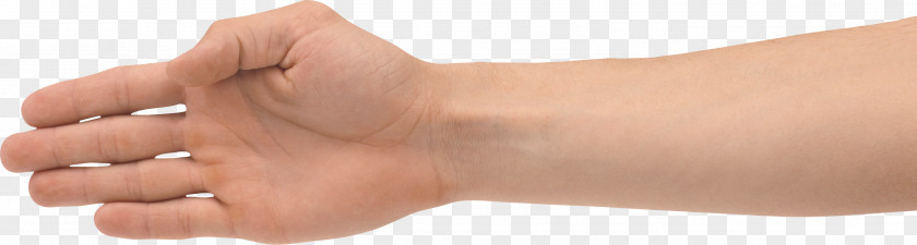 Fingers Hand Forearm Clip Art PNG