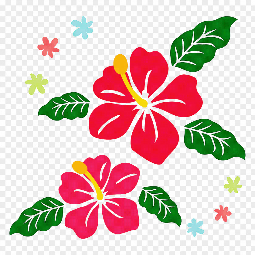 Floral Design PNG