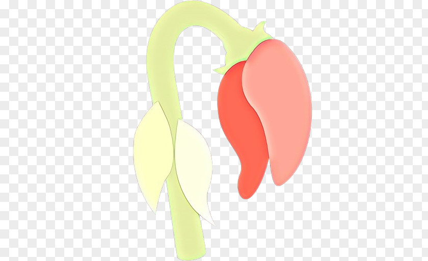 Plant Pink Fruit Cartoon PNG