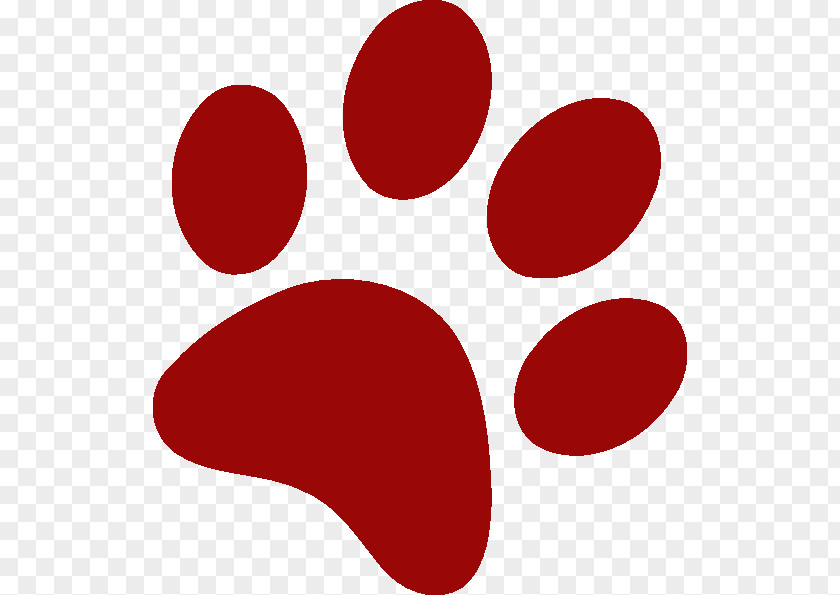 Cat Clip Art Paw Bobcat Graphics PNG