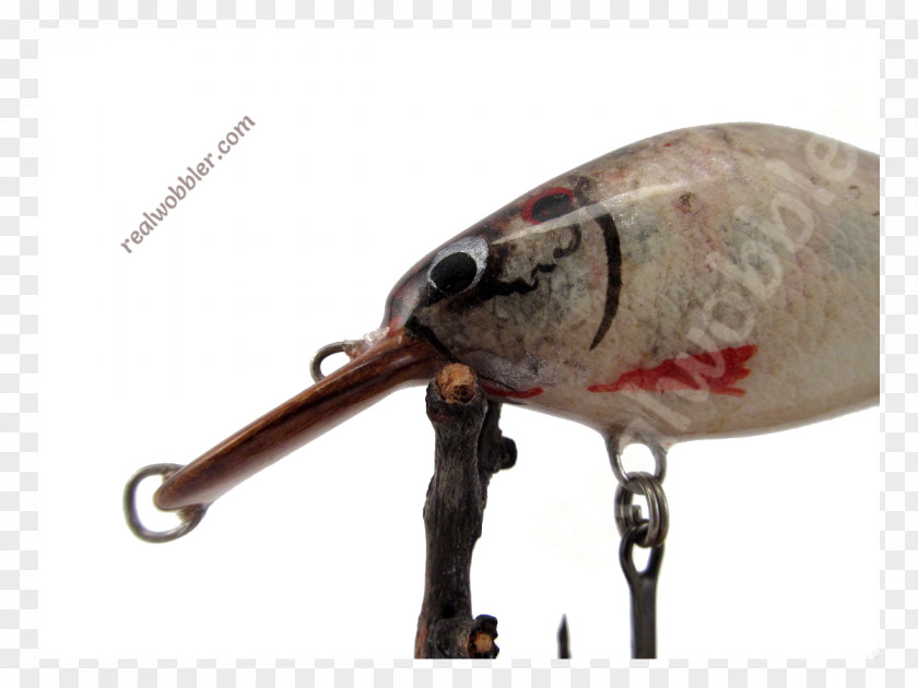 Catfish Spoon Lure PNG
