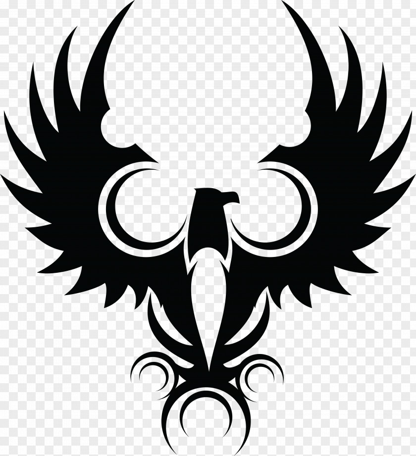 Eagle Bald Symbol PNG