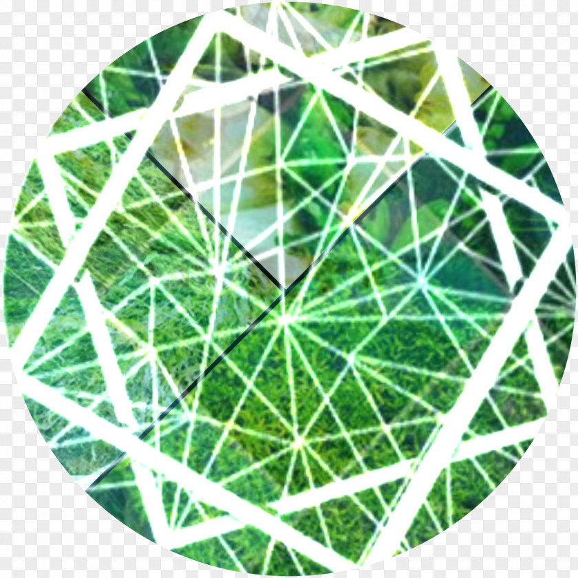 Instagram Desktop Wallpaper Green Image PNG