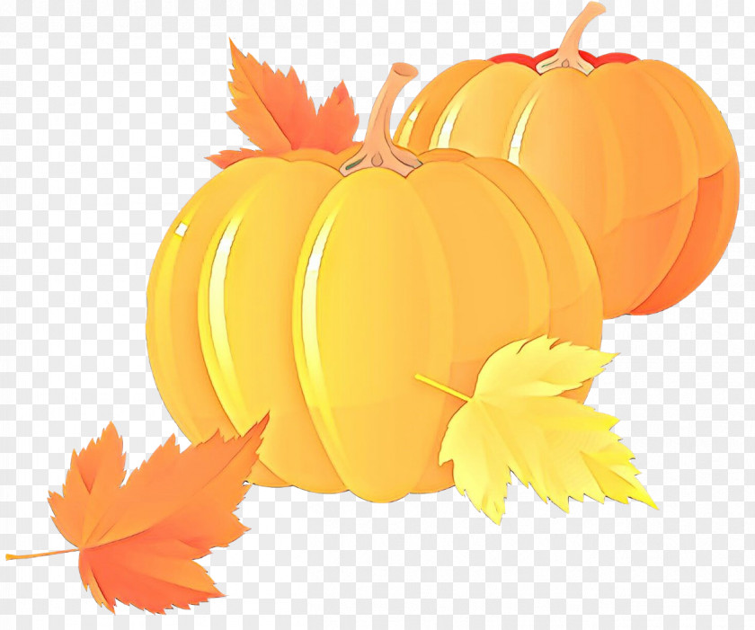 Orange PNG