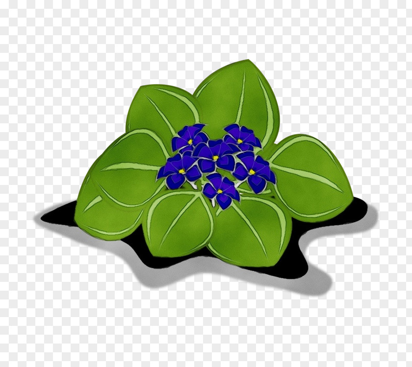 Periwinkle Flowering Plant Leaf Green Blue Flower PNG