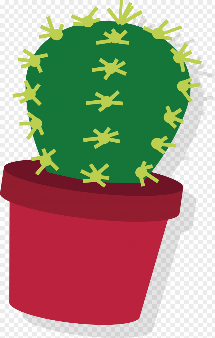 Prickly Cactus Cactaceae Adobe Illustrator PNG