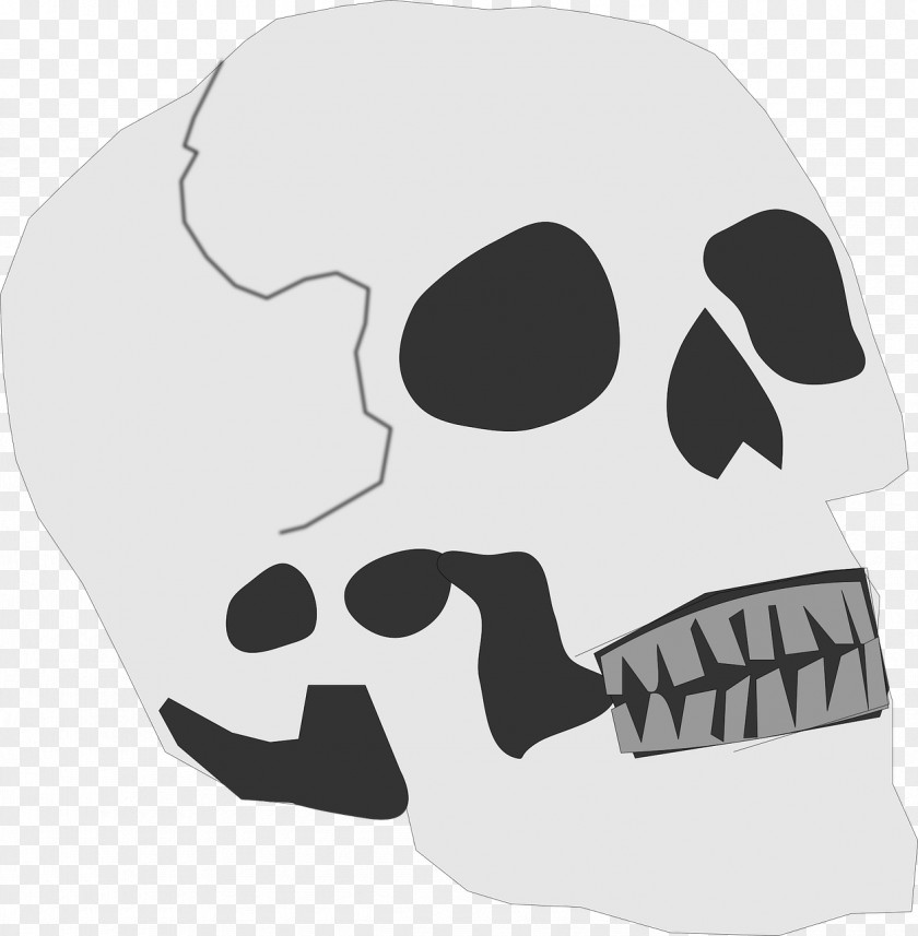 Skull Human Skeleton Clip Art PNG