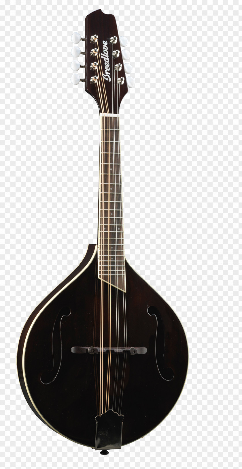 Acoustic Guitar The Larson's Creations: Guitars & Mandolins Bass PNG