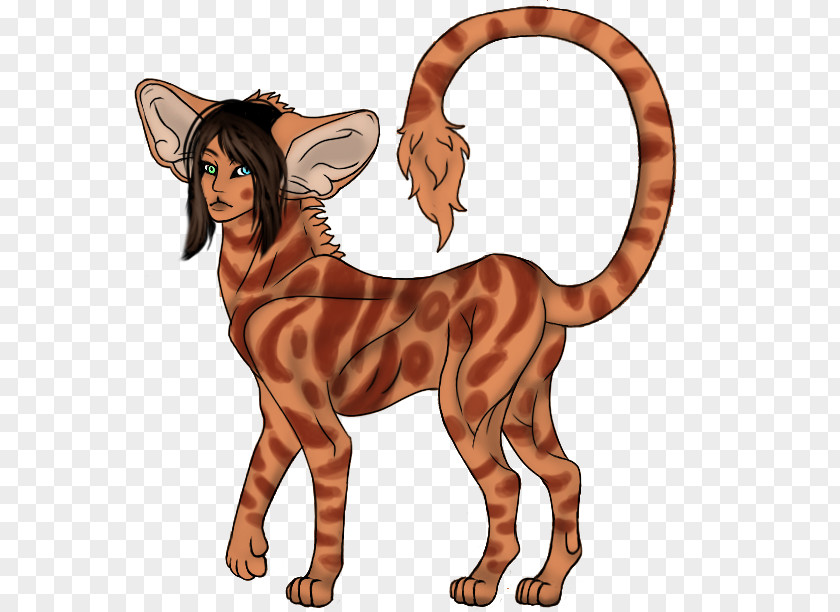 Cat Tiger Mammal Dog Horse PNG