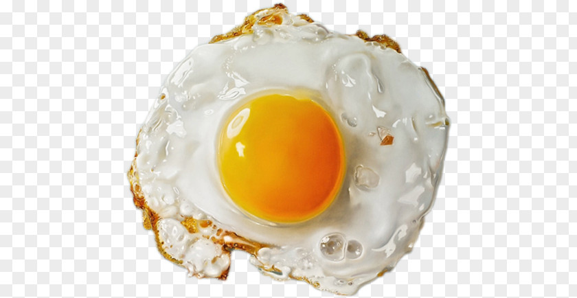 Eggs PNG clipart PNG