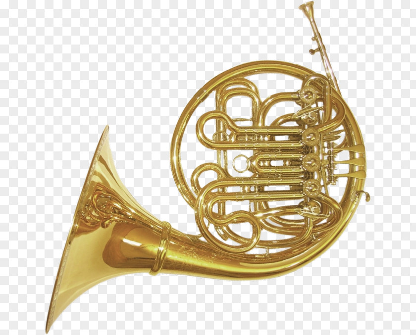 French Horn Saxhorn Horns Paxman Musical Instruments Trumpet PNG