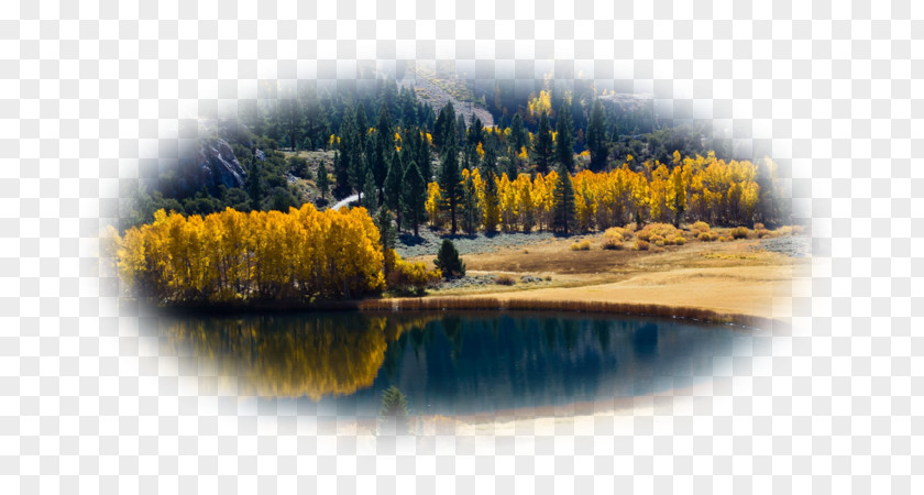 Lake Desktop Wallpaper Autumn High-definition Television PNG