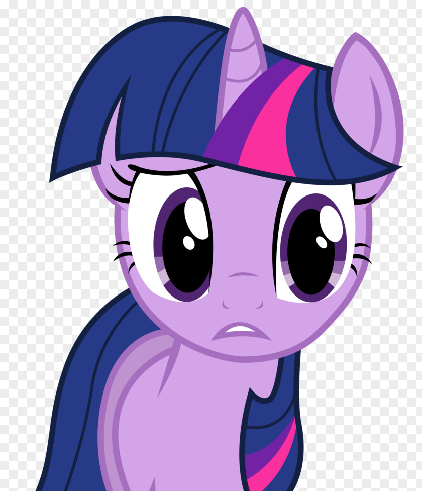 My Little Pony Twilight Sparkle Pinkie Pie Rarity Rainbow Dash PNG