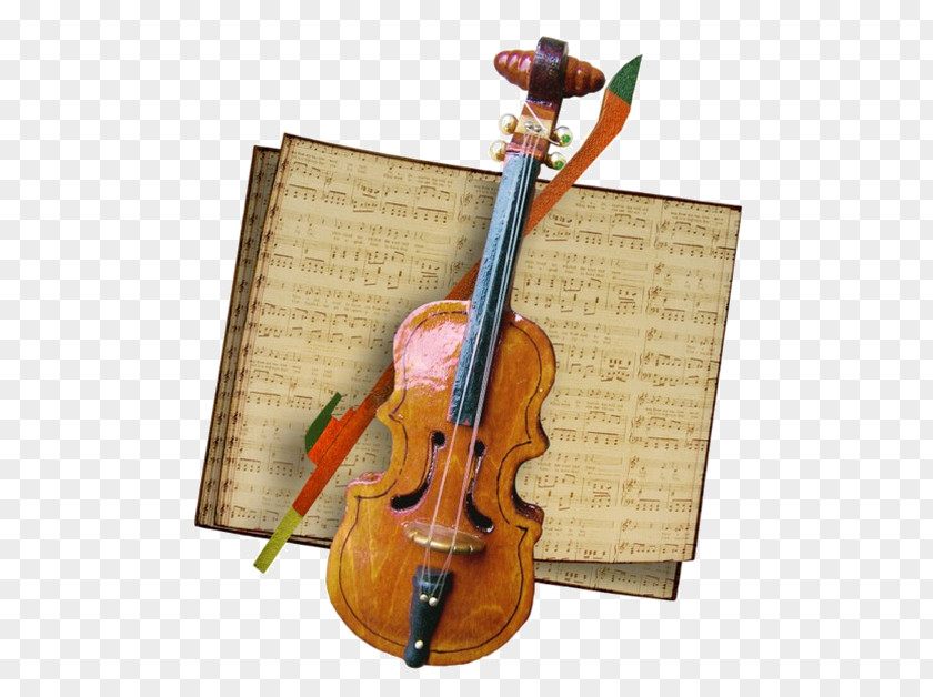 String Instrument Musical Violin Family PNG