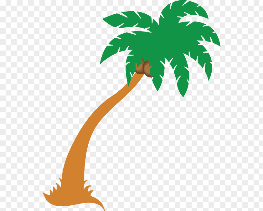 Arecales Plant Stem Palm Tree Background PNG