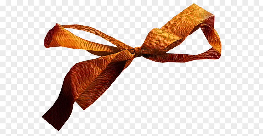 Autumn Elements Ribbon PNG