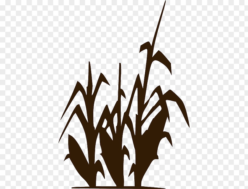 Silhouette Clip Art Agriculture Crop Maize PNG
