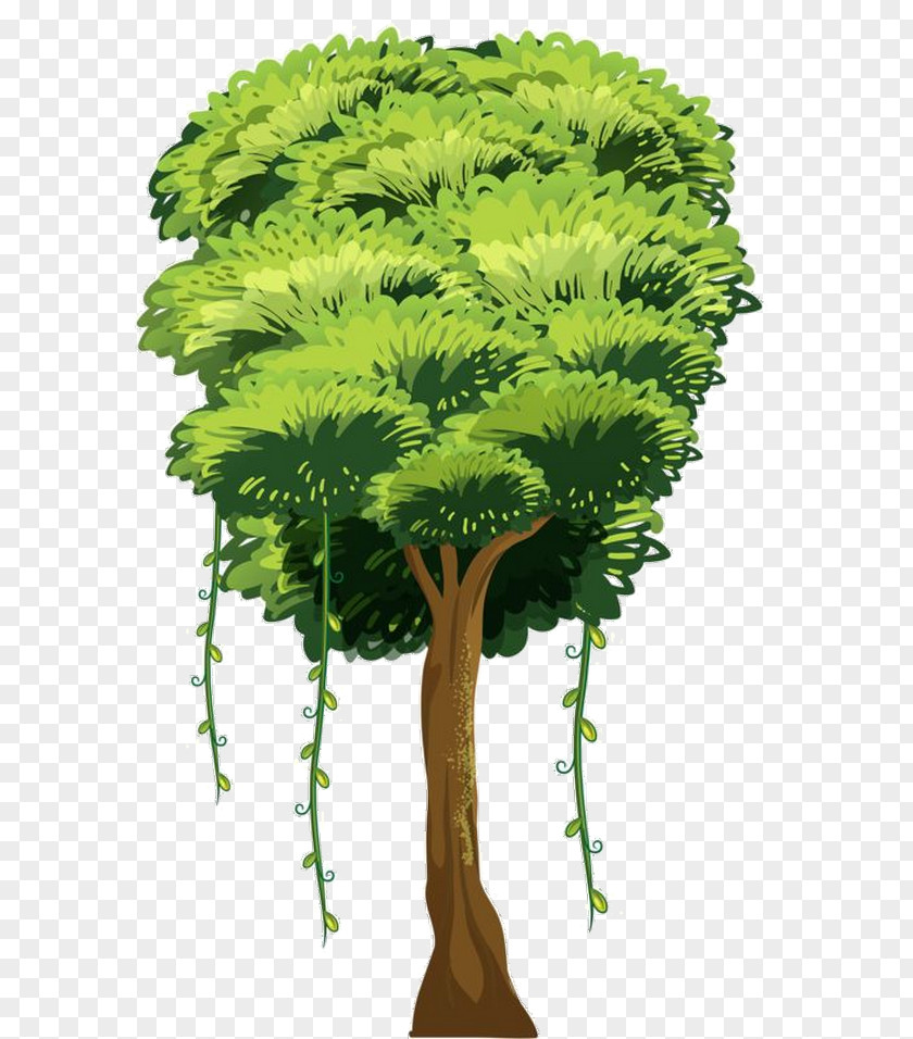 Tree Drawing PNG