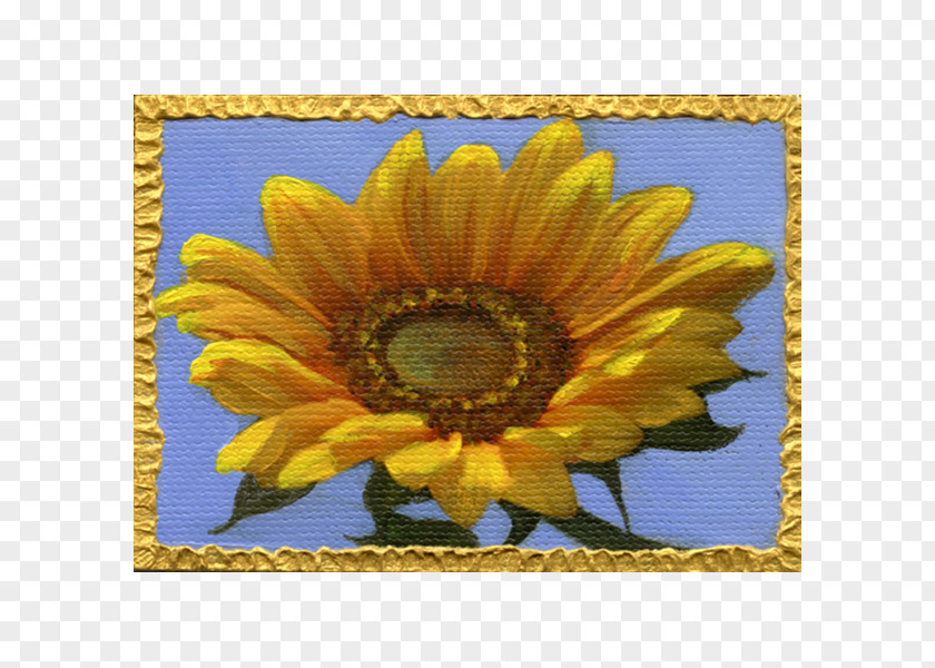 Watercolor Sky Common Sunflower Seed Daisy Family Yellow PNG