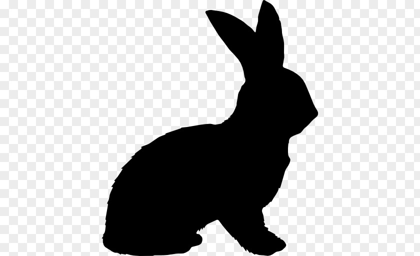 Cat Hare Rabbit Animal PNG