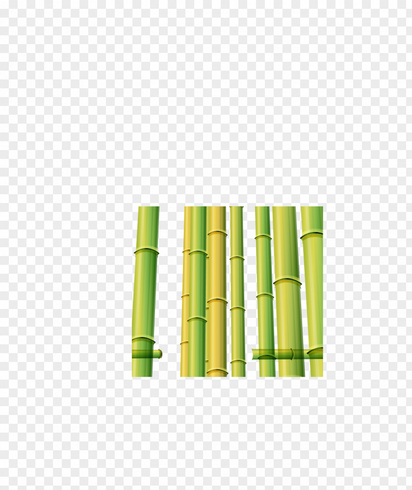 Fresh Bamboo Bamboe Euclidean Vector PNG