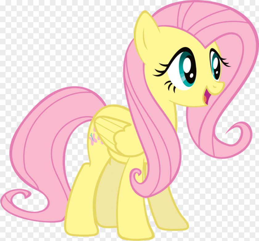 Little Pony Fluttershy Rainbow Dash Pinkie Pie Rarity PNG
