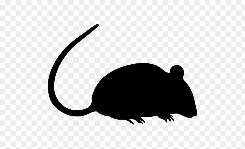 Rat Computer Mouse Black PNG