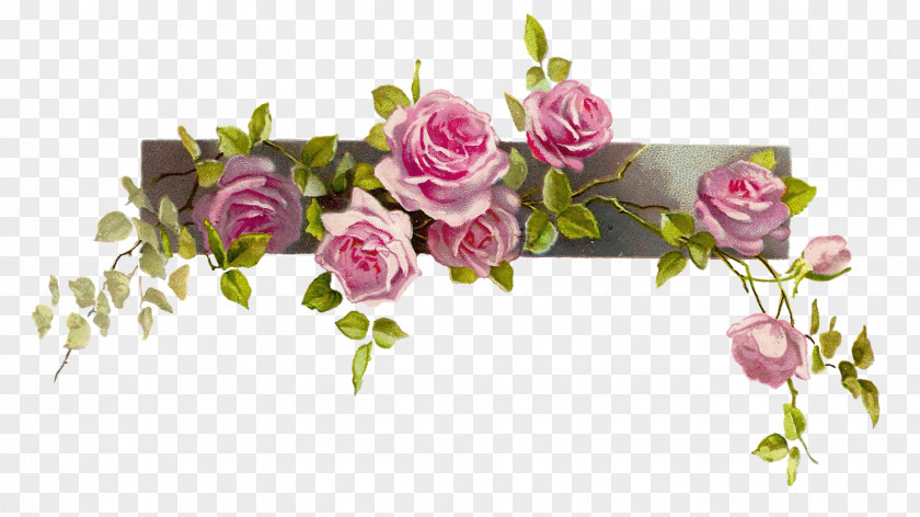 Rose Borders And Frames Flower Clip Art PNG