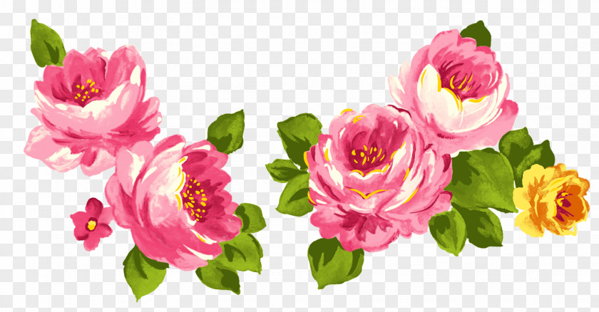 Watercolor Rose Centifolia Roses Flower Pink Garden PNG