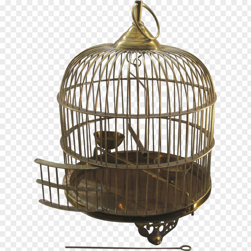 Bird Cage 4K Resolution PNG