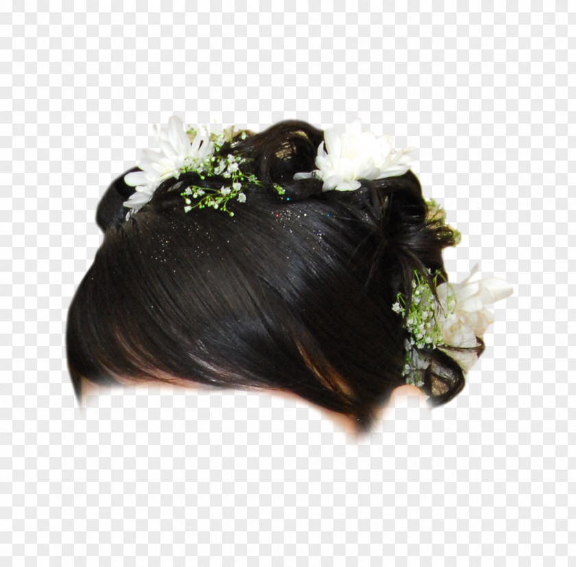 Hair Hairstyle Wig Styling Tools Care PNG
