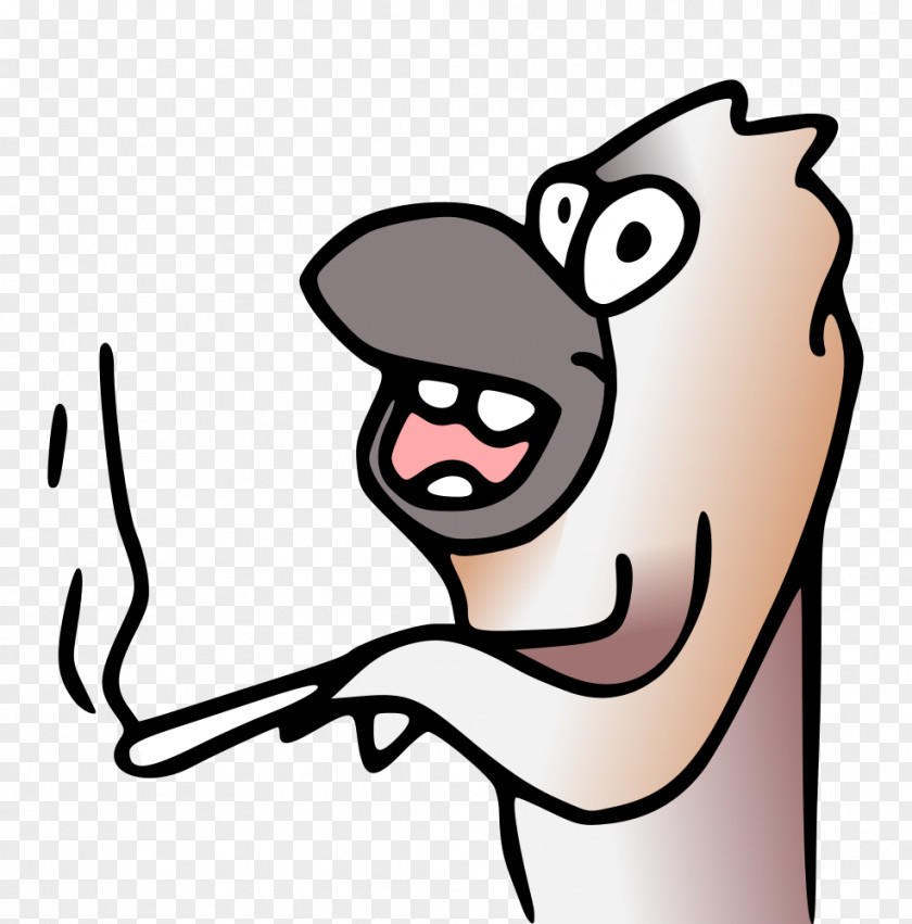 Kookaburra Clip Art Vector Graphics Illustration Cartoon Drawing PNG