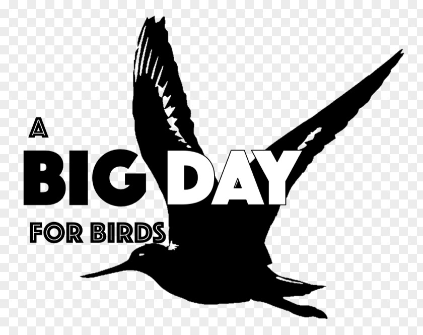 Bird Logo Beak Mississippi Font PNG