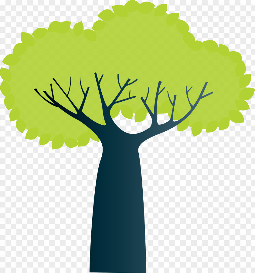 Root Leaf Branch Tree Plant Stem PNG